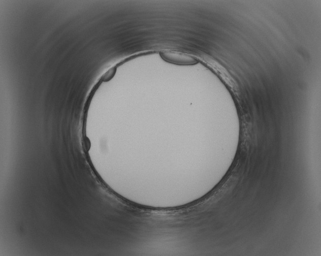 X0000116330904200912291550