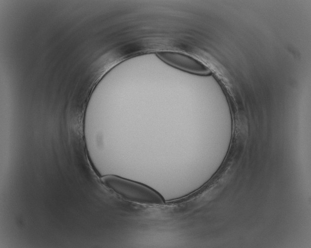 X0000116330905200912291550