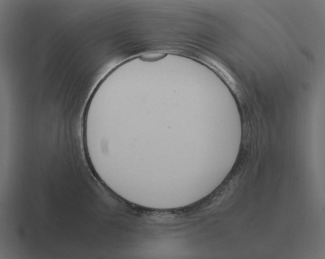 X0000116330907200912291550