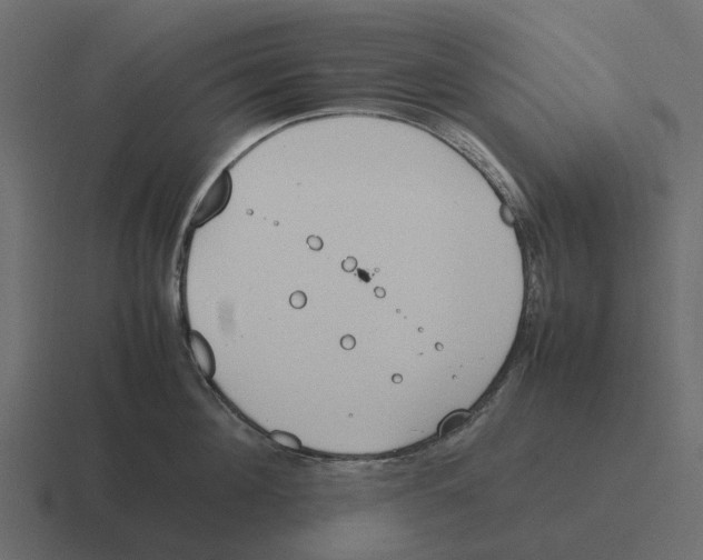 X0000116330908200912291550