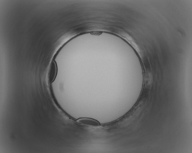 X0000116330909200912291550