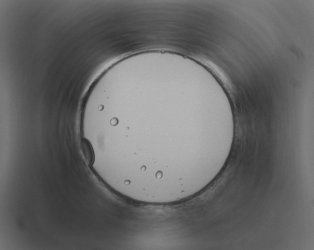 X0000116330910200912291550