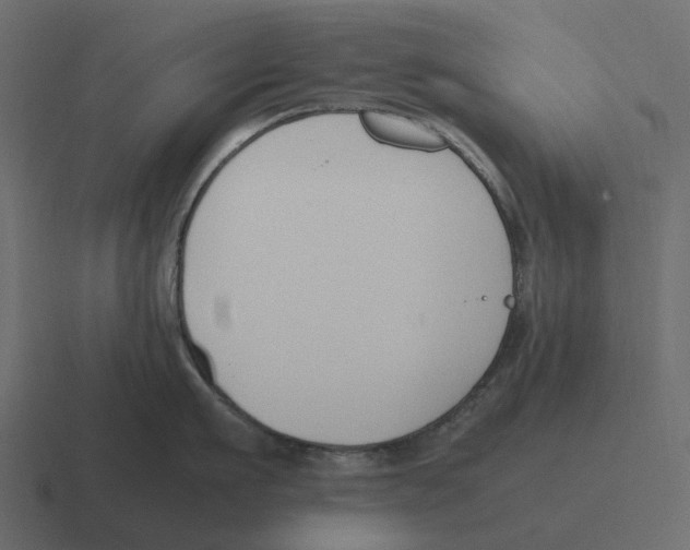 X0000116330911200912291550