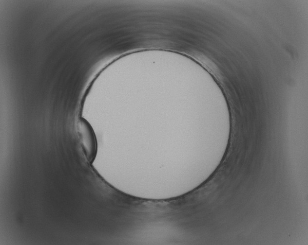 X0000116330912200912291550