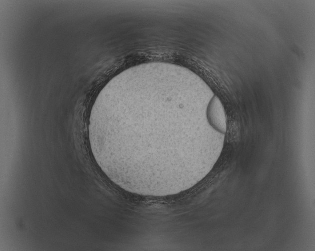 X0000116330913200912291549