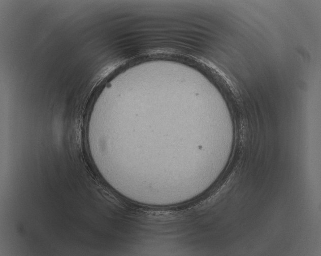 X0000116330921200912291550