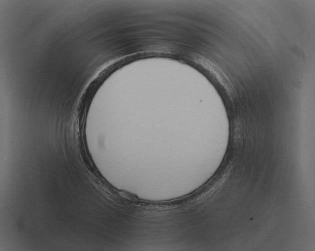 X0000116330923200912291550