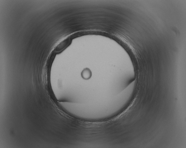 X0000116330925200912291550