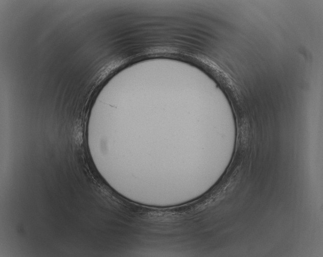 X0000116330929200912291550