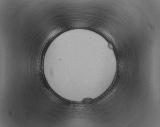 X0000116330930200912291550