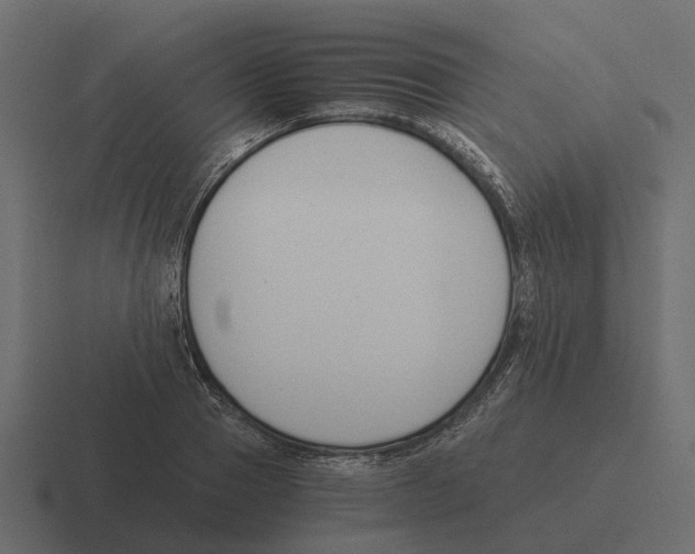 X0000116330937200912291550