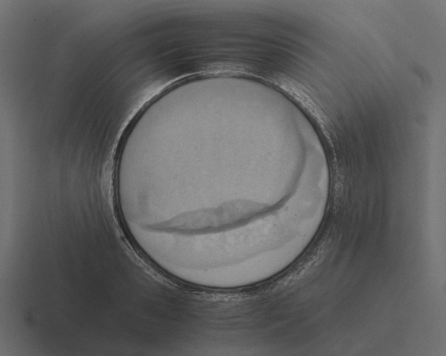 X0000116330941200912291550