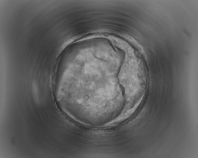 X0000116330945200912291550