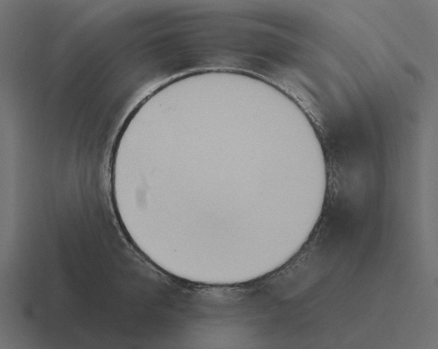 X0000116330950200912291550