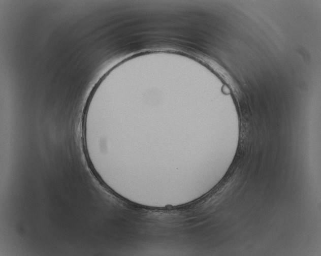 X0000116330951200912291550