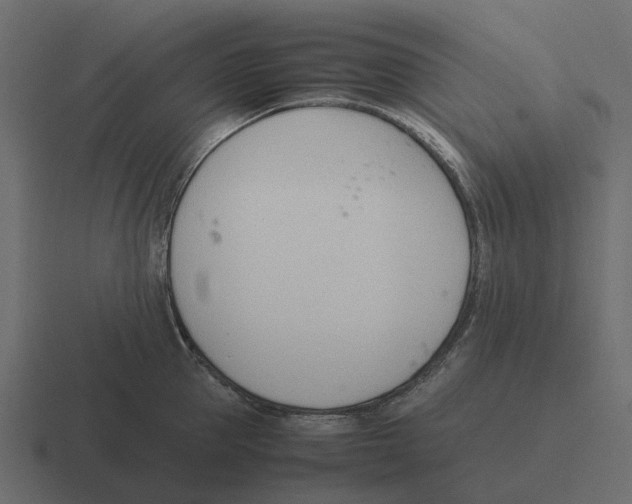 X0000116330953200912291550