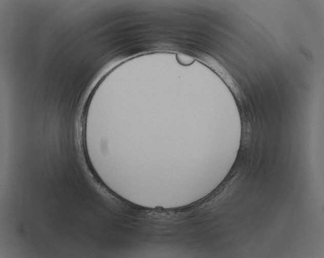 X0000116330955200912291550