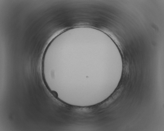 X0000116330957200912291550