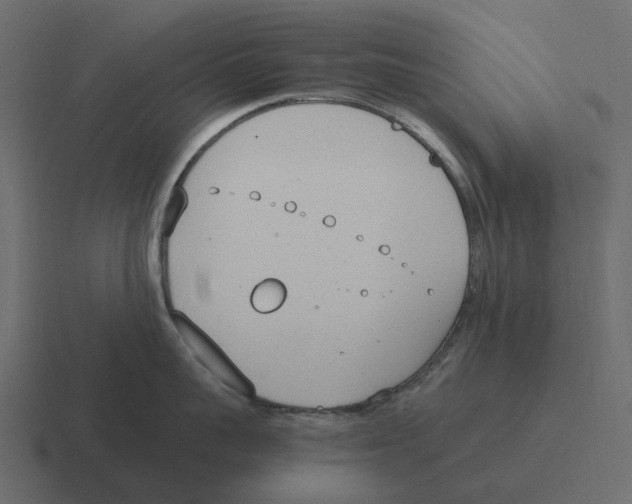 X0000116330959200912291550