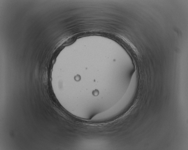 X0000116330969200912291549