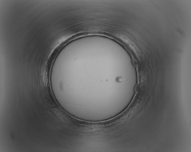 X0000116330973200912291549