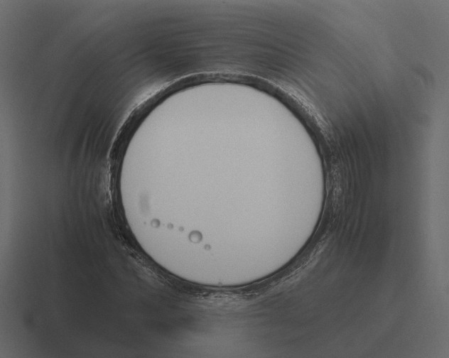 X0000116330974200912291549