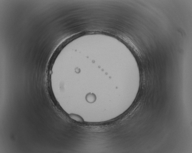 X0000116330976200912291549