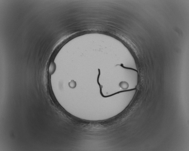 X0000116330983200912291549