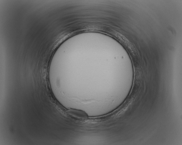 X0000116330985200912291549