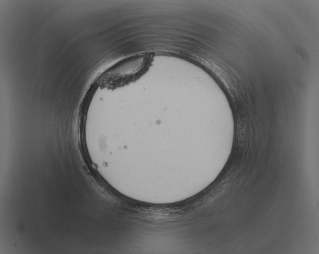 X0000116330987200912291549