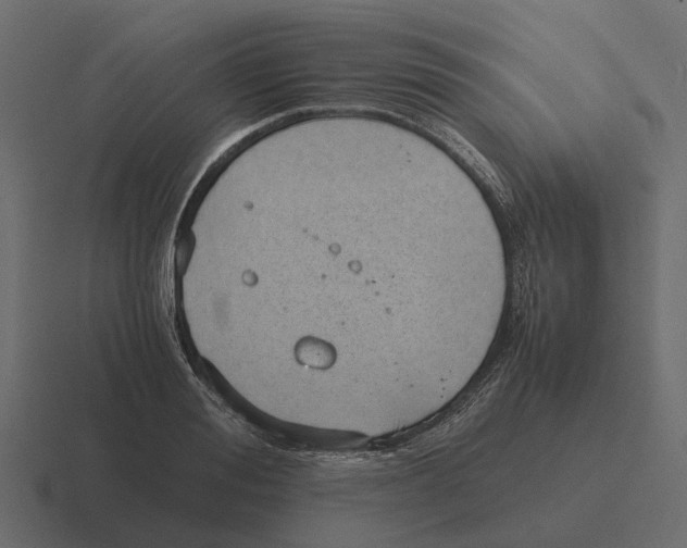 X0000116330988200912291549