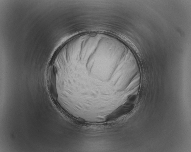 X0000116330989200912291549