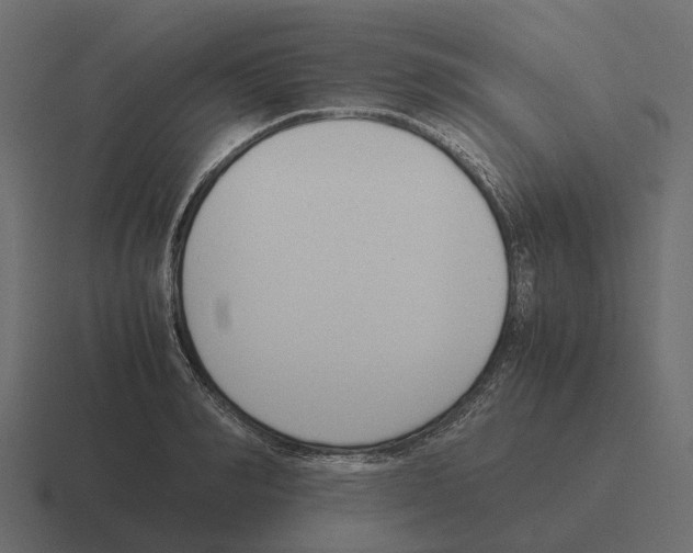 X0000116330990200912291549