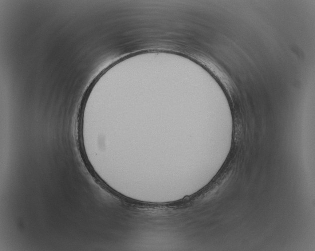 X0000116330999200912291549