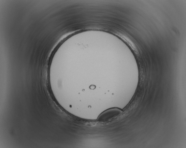 X0000116331000200912291549