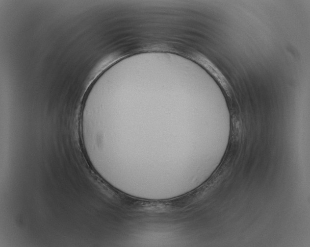 X0000116331002200912291549