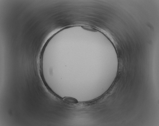 X0000116331003200912291549