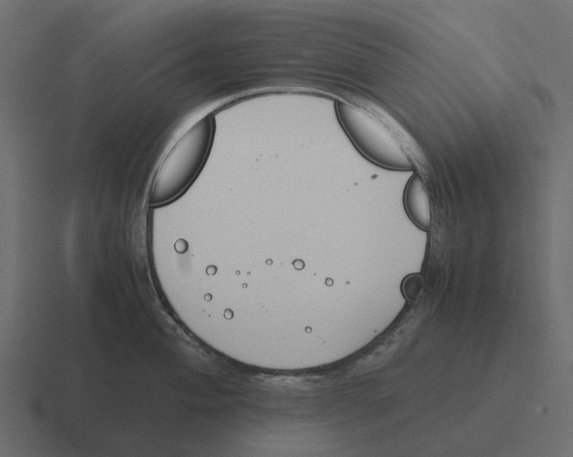 X0000116331004200912291549