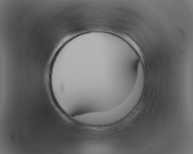 X0000116331005200912291549