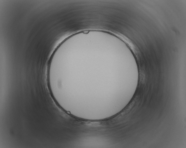 X0000116331006200912291549