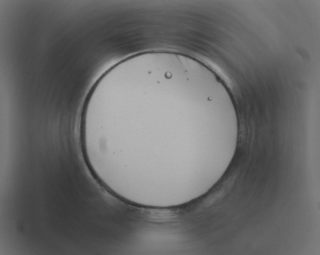 X0000116331007200912291549