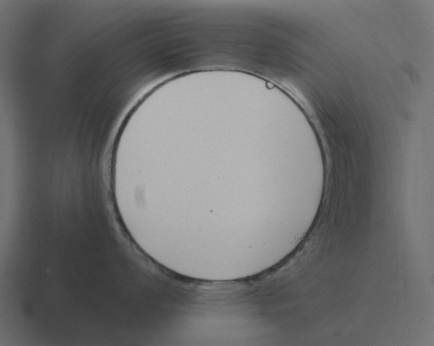 X0000116331008200912291549