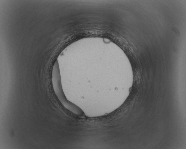 X0000116331009200912291548