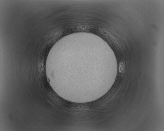 X0000116331011200912291548