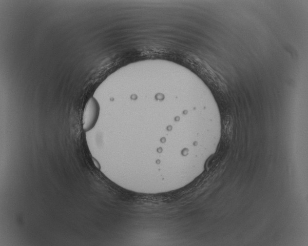 X0000116331012200912291548