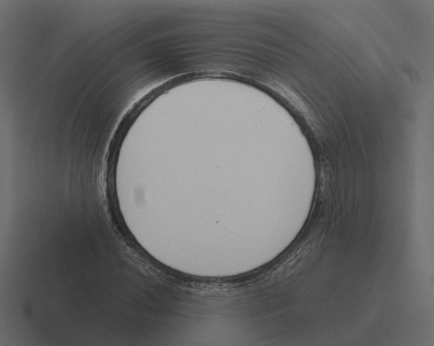 X0000116331020200912291548