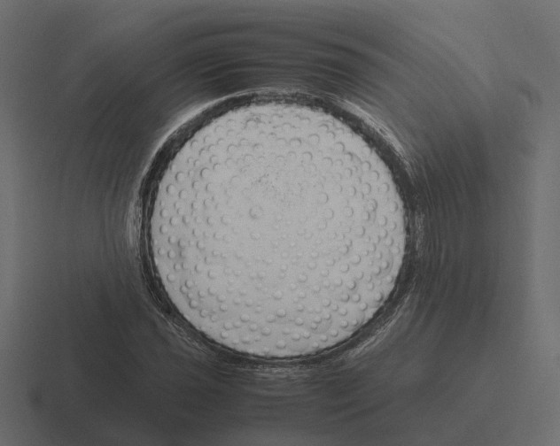 X0000116331021200912291548