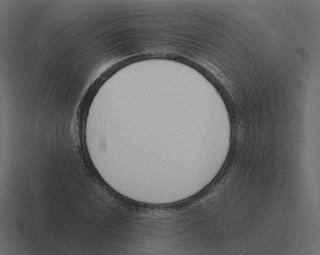 X0000116331022200912291548