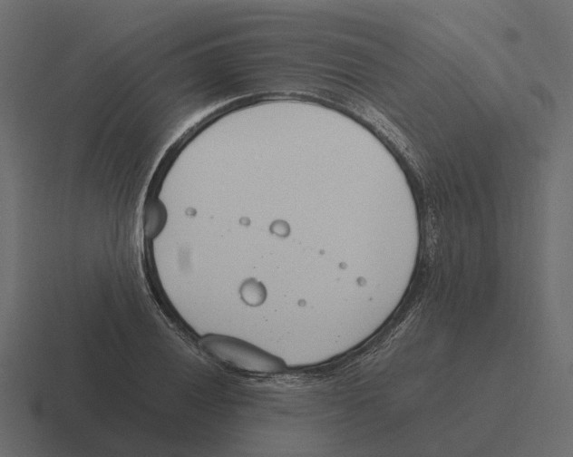 X0000116331028200912291549