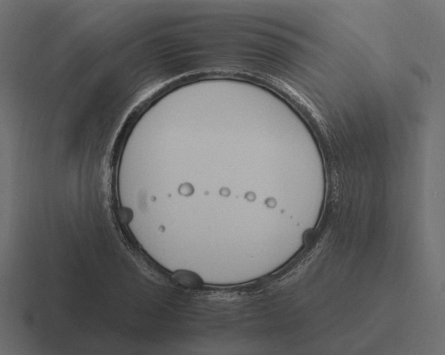 X0000116331029200912291549